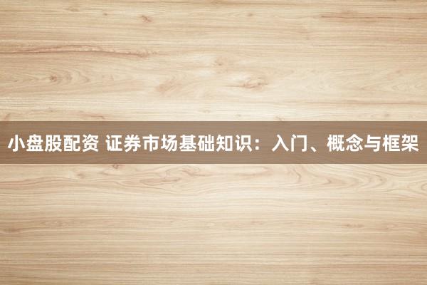 小盘股配资 证券市场基础知识：入门、概念与框架