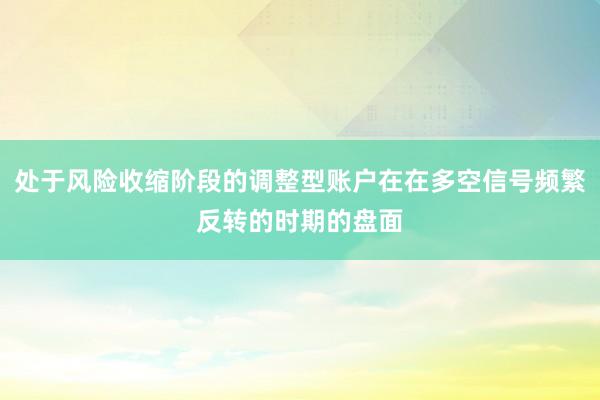 处于风险收缩阶段的调整型账户在在多空信号频繁反转的时期的盘面