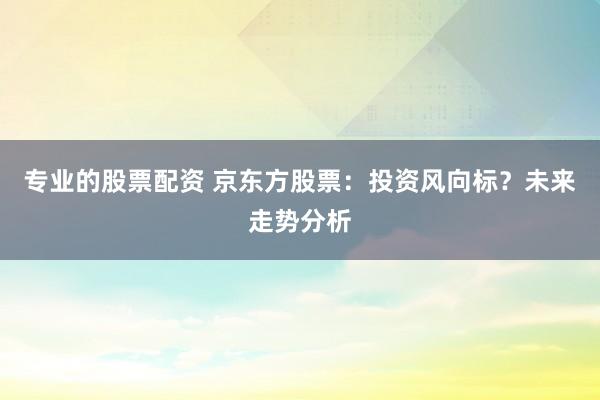 专业的股票配资 京东方股票:投资风向标?未来走势分析