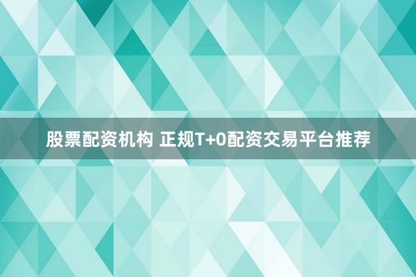 股票配资机构 正规T+0配资交易平台推荐