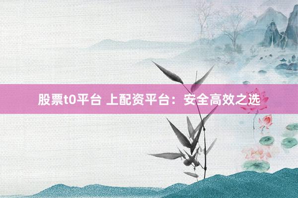股票t0平台 上配资平台：安全高效之选